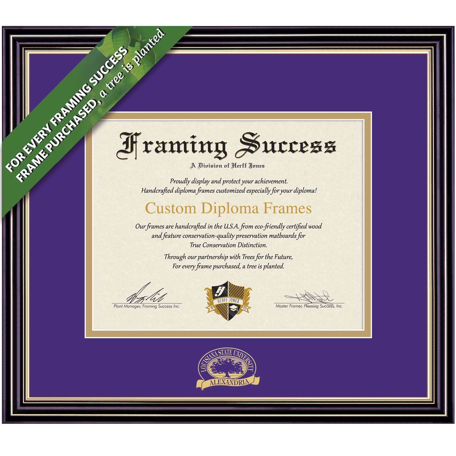 Framing Success 8.5 x 11 Prestige Gold Embossed School Name Bachelors Diploma Frame