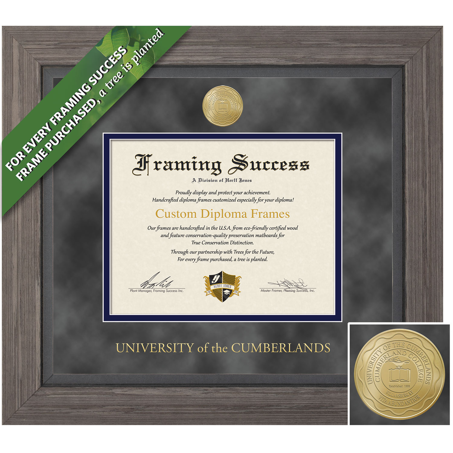 Framing Success 8.5 x 11 Greystone Gold Medallion Associates, Bachelors Diploma Frame