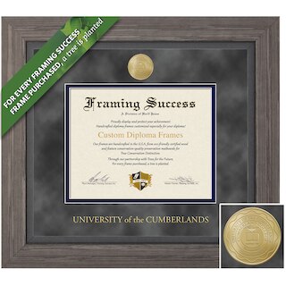 Framing Success 8.5 x 11 Greystone Gold Medallion Associates, Bachelors Diploma Frame