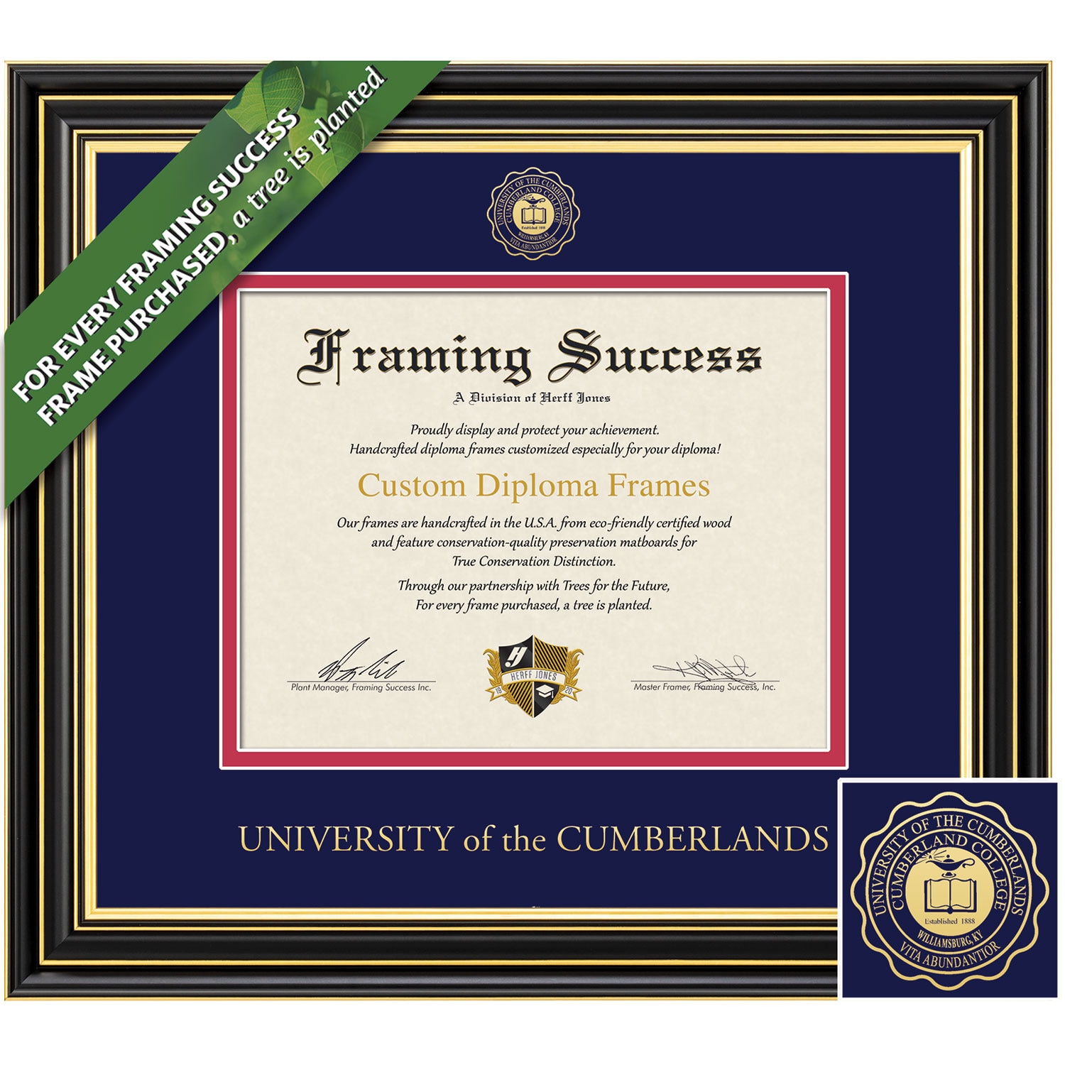 Framing Success 8.5 Prestige Gold Embossed School Seal Bachelors Diploma Frame
