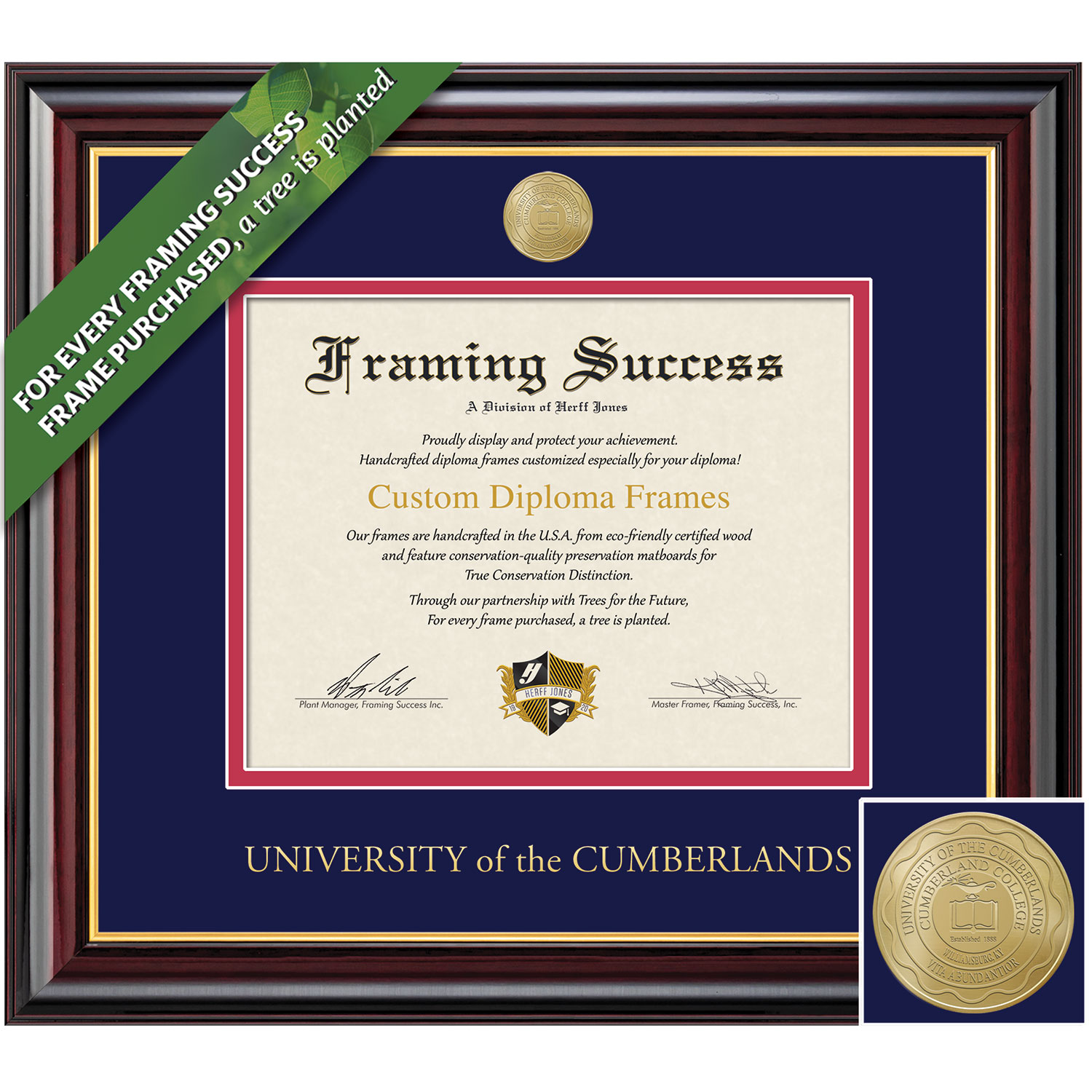 Framing Success 11 x 14 Windsor Gold Medallion PhD Diploma Frame