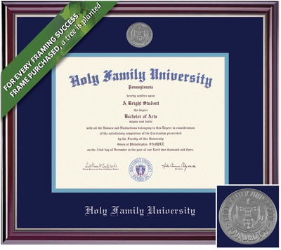 Framing Success 11 x 14 Jefferson Silver Medallion Bachelors, Masters, Doctorate Diploma Frame