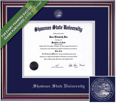 Framing Success 8.5 x 11 Jefferson Gold Embossed School Seal Bachelors, Masters Diploma Frame