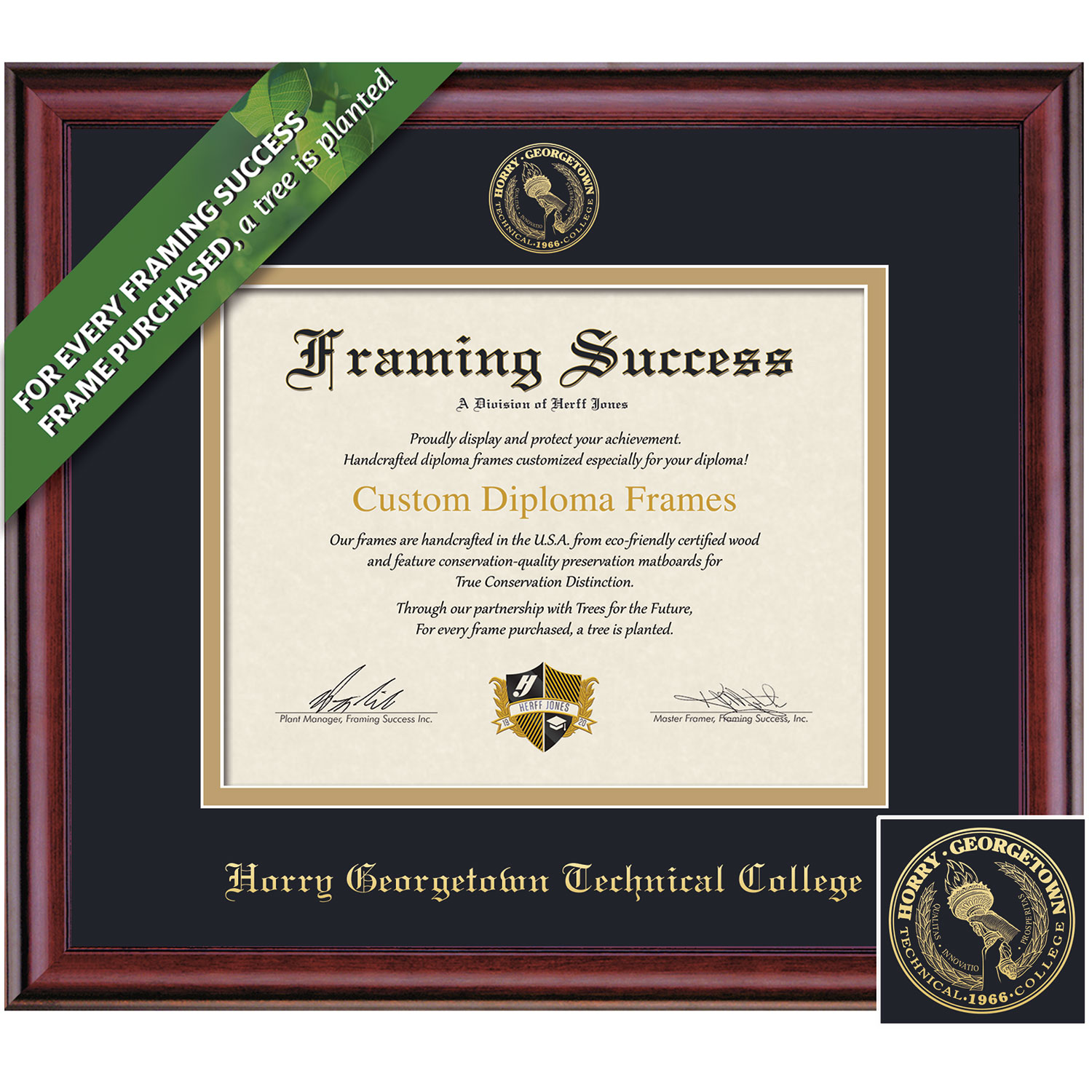 Framing Success 8.5 x 11 Classic Gold Embossed School Seal Associates Diploma Frame