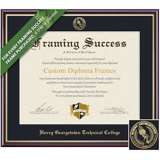 Framing Success 8.5 x 11 Academic Gold Embossed School Seal Associates Diploma Frame