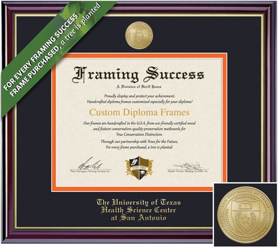 Framing Success Windsor Diploma Frame. Bachelors, Masters, PhD, MD