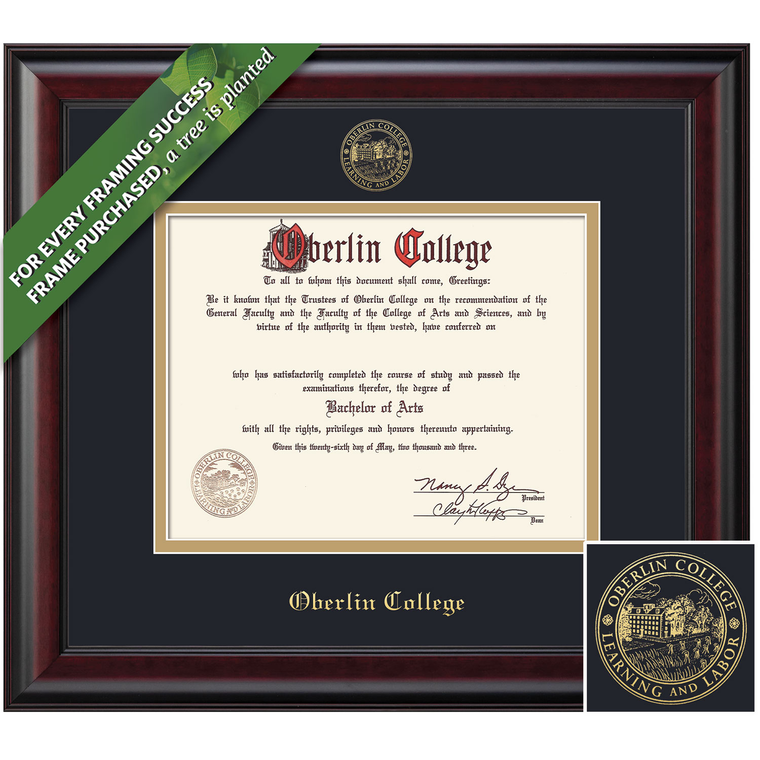 Framing Success 6 x 8 Classic Gold Embossed School Seal Bachelor Diploma Frame