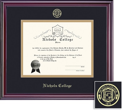 Framing Success 8.5 x 11 Elite Gold Emb School Seal Bachelors, Masters Diploma Frame