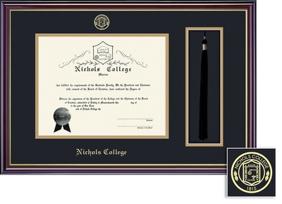 Framing Success 8.5 x 11 Windsor Gold Emb School Seal Bachelors, Masters Diploma/Tassel Frame