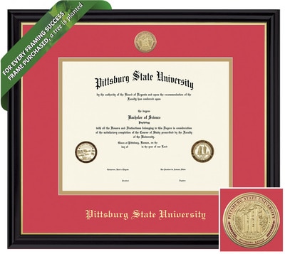 Framing Success 8.5 x 11 Coronado Color Enamel Custom Minted Medallion of School Seal Bachelors, Masters Diploma Frame