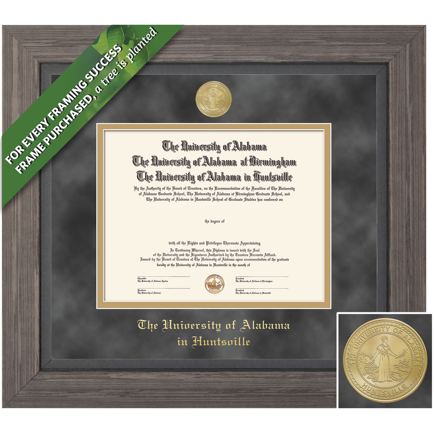 Framing Success 8 x 10 Greystone Gold Medallion Bachelors Diploma Frame