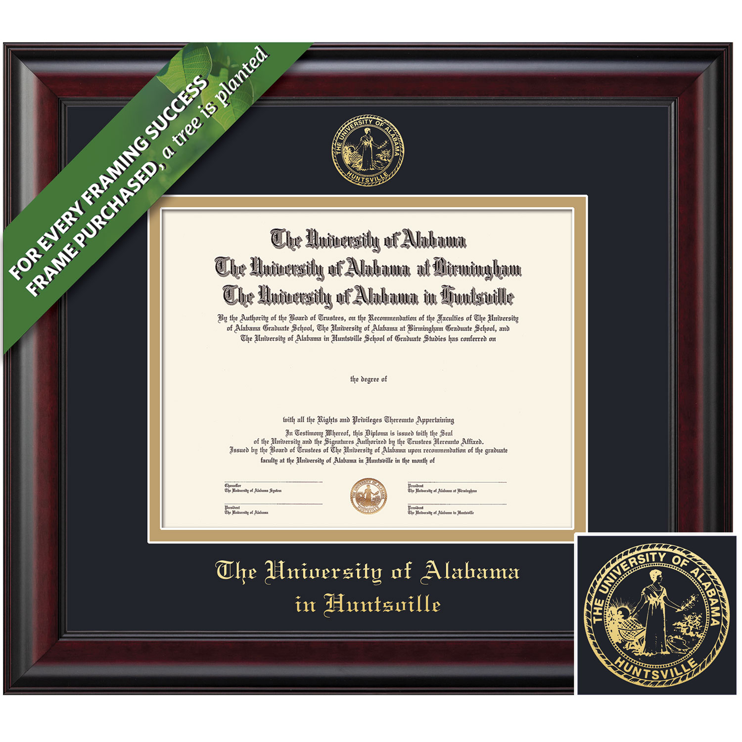 Framing Success 8 x 10 Classic Gold Embossed School Seal Bachelors Diploma Frame