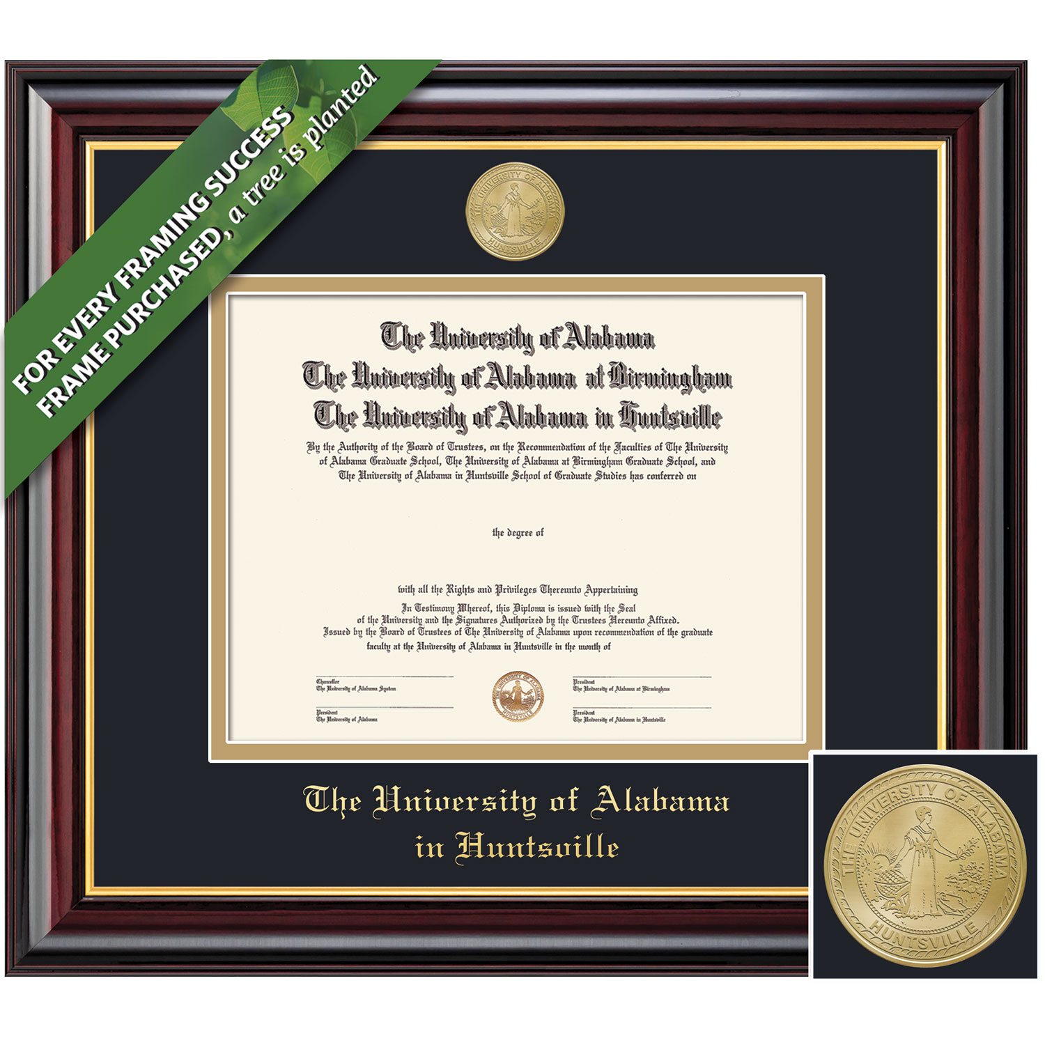 Framing Success 8 x 10 Windsor Gold Medallion Bachelors Diploma Frame