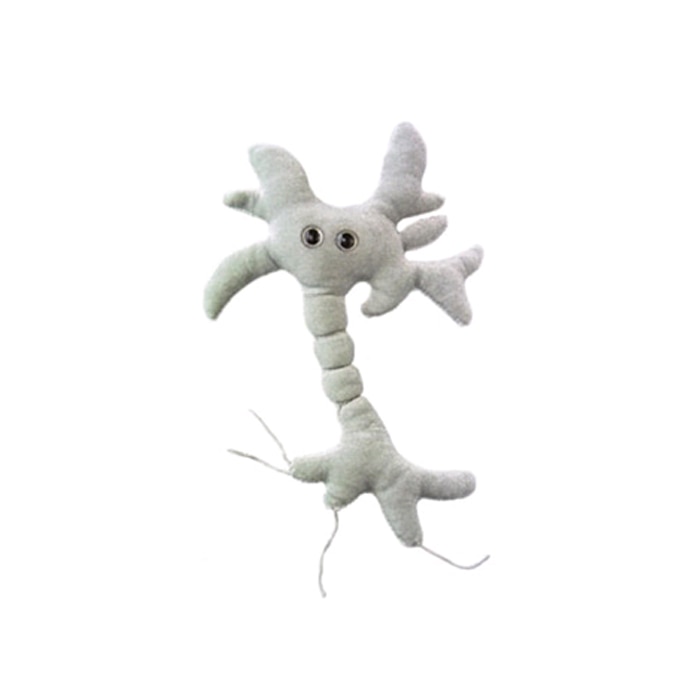 Brain Cell