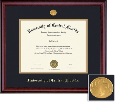 Framing Success 11 x 14 Classic Gold Medallion Masters, Ph.D Diploma Frame