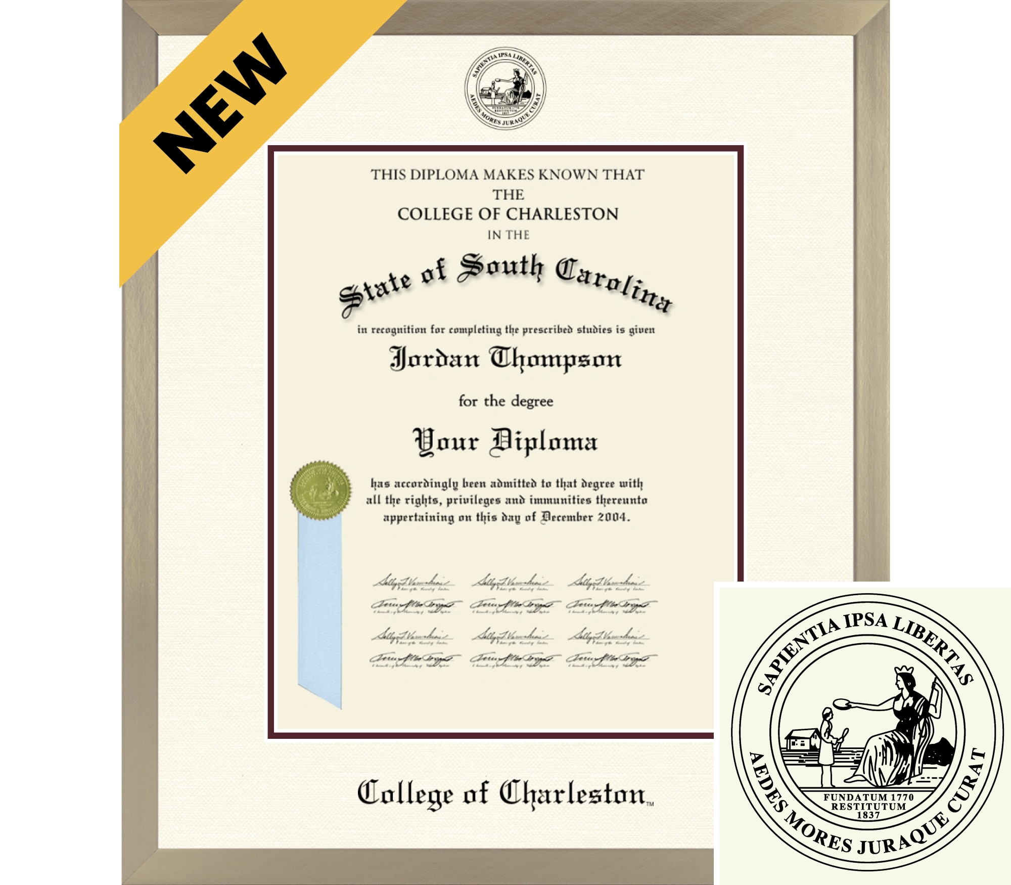 Church Hill Classics ICON 16x20 Gold Diploma Frame