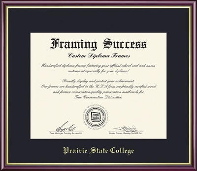 Framing Success 7 x 9 Academic Gold Emb Emb School Name Associates Diploma Frame