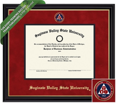 Framing Success 8.5 x 11 Coronado Colored Medallion Bachelors, Masters Diploma Frame