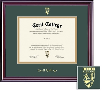 Framing Success 8.5 x 11 Elite Gold Embossed School Seal Associates Diploma Frame