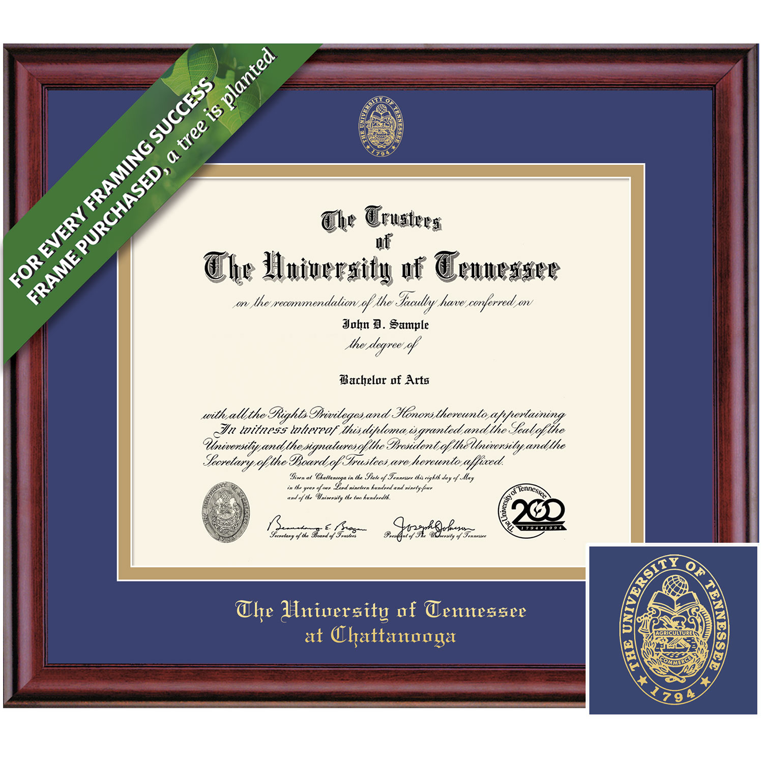 Framing Success 12 x 15 Classic Gold Embossed School Seal Bachelors, Masters Diploma Frame