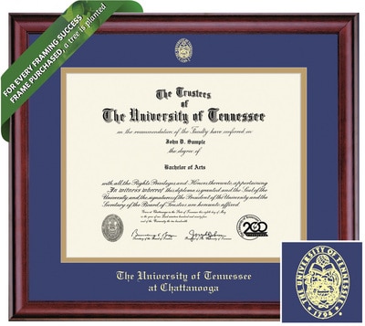 Framing Success 14 x 17 Classic Gold Embossed School Seal Bachelors, Masters Diploma Frame