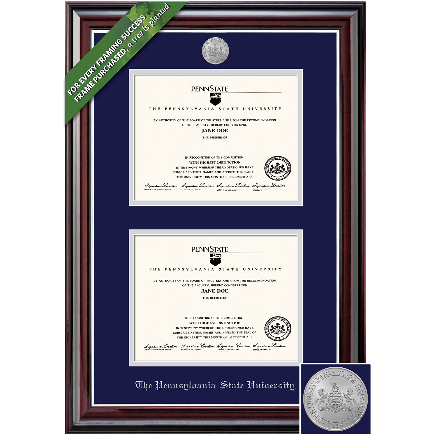 Framing Success 8.5 x 11 Jefferson Silver Medallion Bachelors, Masters Double Diploma Frame