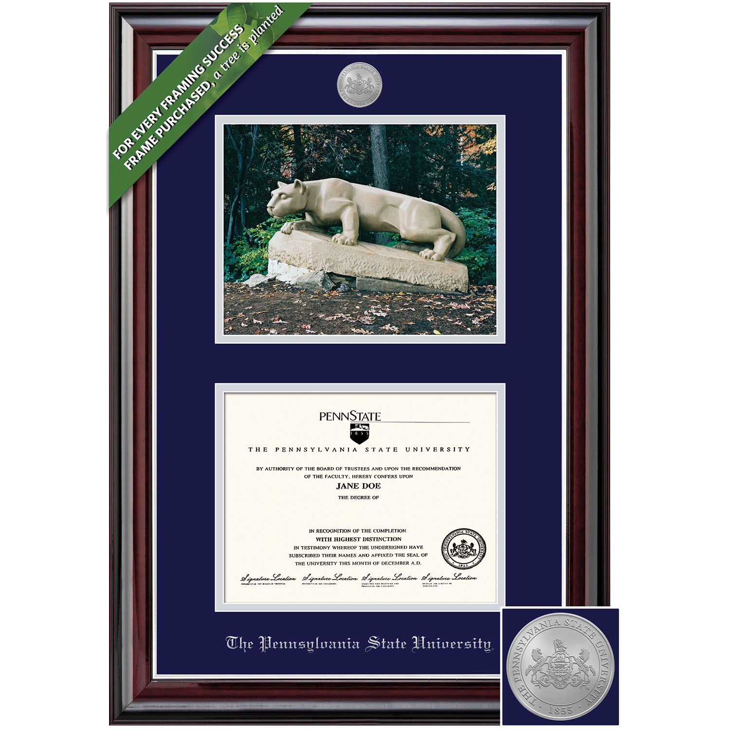 Framing Success 8.5 x 11 Jefferson Silver Medallion Bachelors, Masters Diploma/Photo Frame
