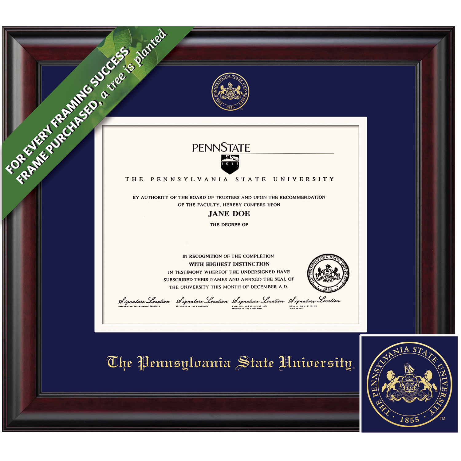 Framing Success 8.5 x 11 Classic Gold Embossed School Seal Bachelors, Masters Diploma Frame