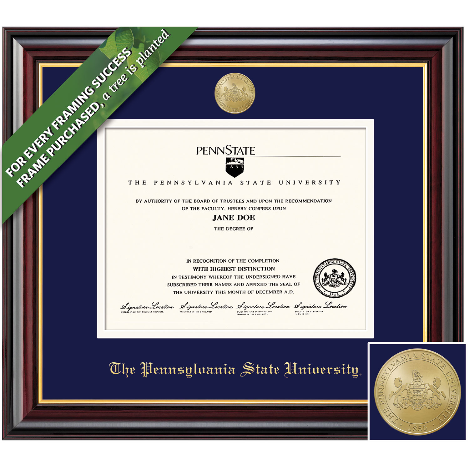 Framing Success 8.5 x 11 Windsor Gold Medallion Bachelors, Masters Diploma Frame