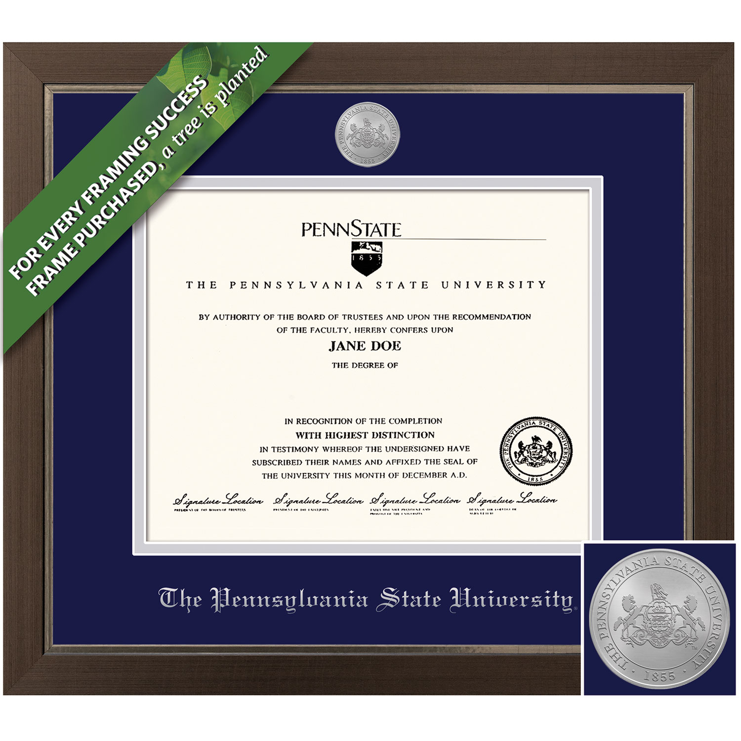 Framing Success 8.5 x 11 Metro Silver Medallion Bachelors, Masters Diploma Frame