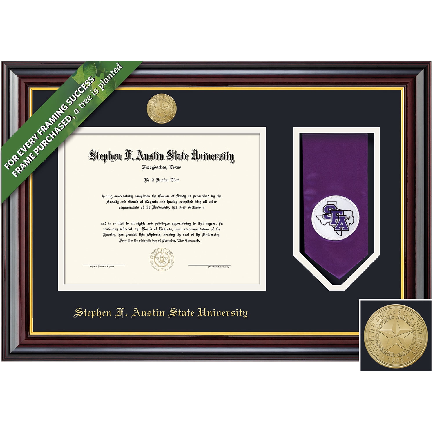 Framing Success 11 x 14 Windsor Gold Medallion Bachelors, Masters, Doctorate Diploma/Stole Frame