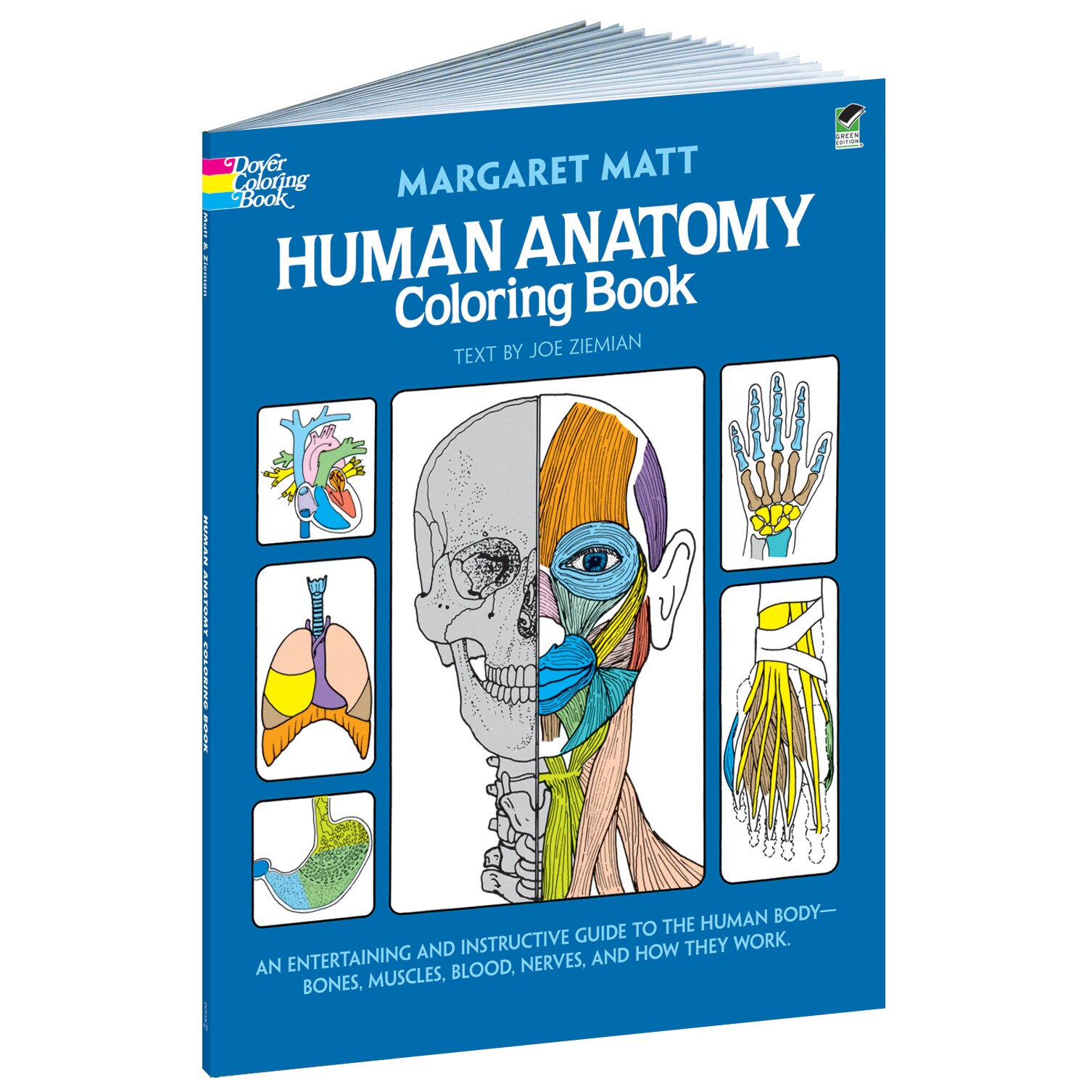 Dover Coloring Book, Human Anatomy