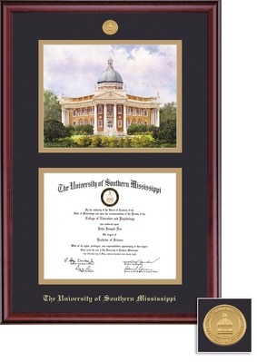 Framing Success 8.5 x 11 Classic Gold Medallion Bachelors, Masters, PhD Diploma/Litho Frame