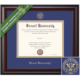 Framing Success 11 x 14 Classic Gold Embossed School Seal Bachelors, Masters Diploma Frame