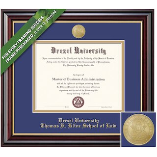 Framing Success 14 x 17 Windsor Gold Medallion Law Diploma Frame