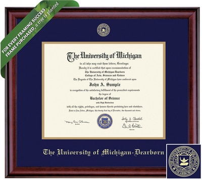 16 x 16 Signature Announcements University-of-Illinois Undergraduate Professional/Doctor Sculpted Foil Seal Graduation Diploma Frame Cherry 