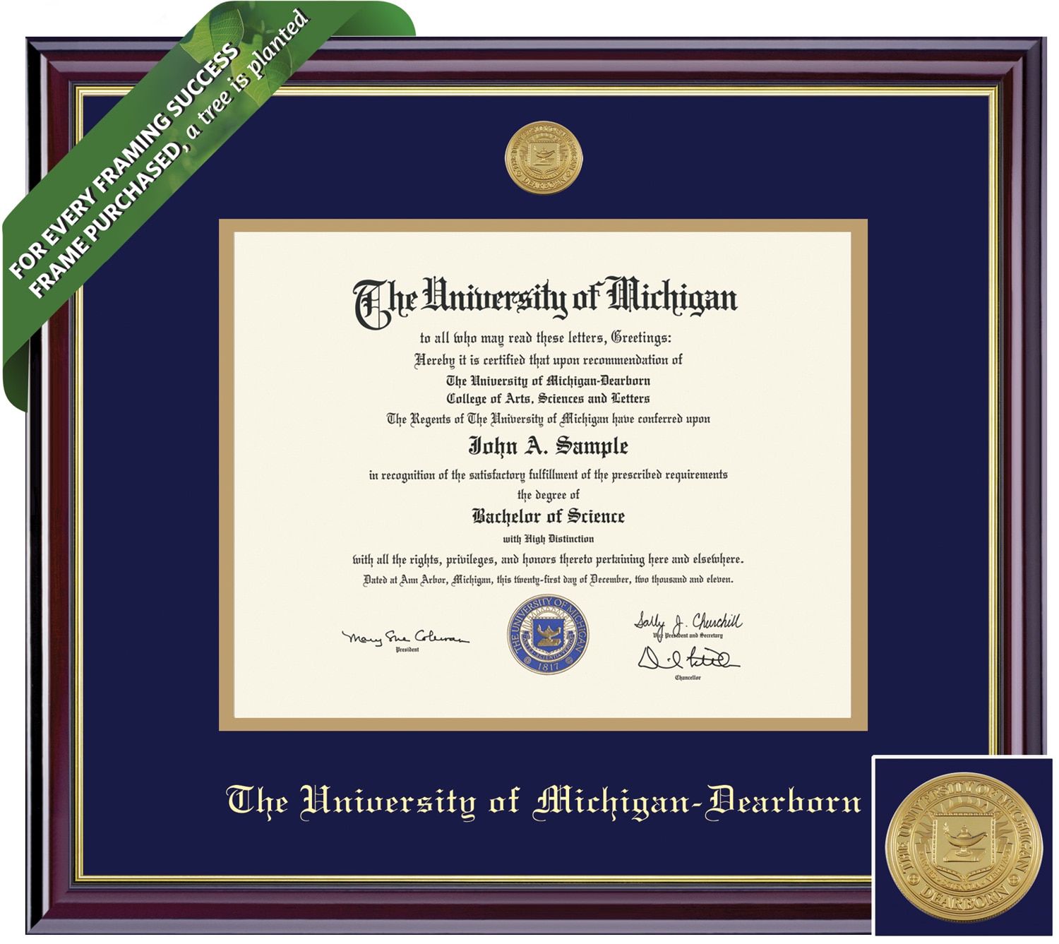 Framing Success 11 x 14 Windsor Gold Medallion PhD Diploma Frame