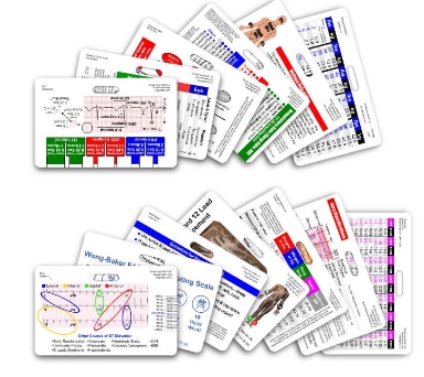 Complete EMS Paramedic Set Vertical Badge Cards - 13 cards - Connect directly to your badge reel!