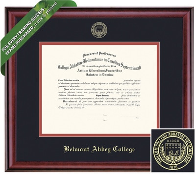 Framing Success 14 x 17 Classic Gold Embossed School Seal Bachelors Diploma Frame