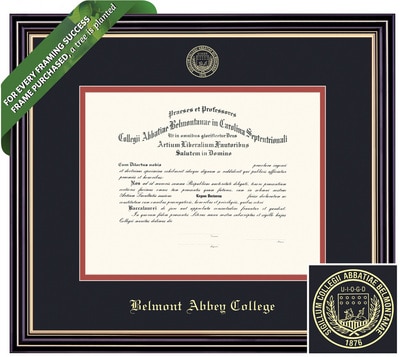 Framing Success 14 x 17 Prestige Gold Embossed School Seal Bachelors Diploma Frame