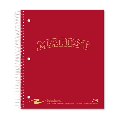 3 sub imprinted notebook.  11x9 college ruled 120 sheets. Saranac cover foil stamped. 1 pocket