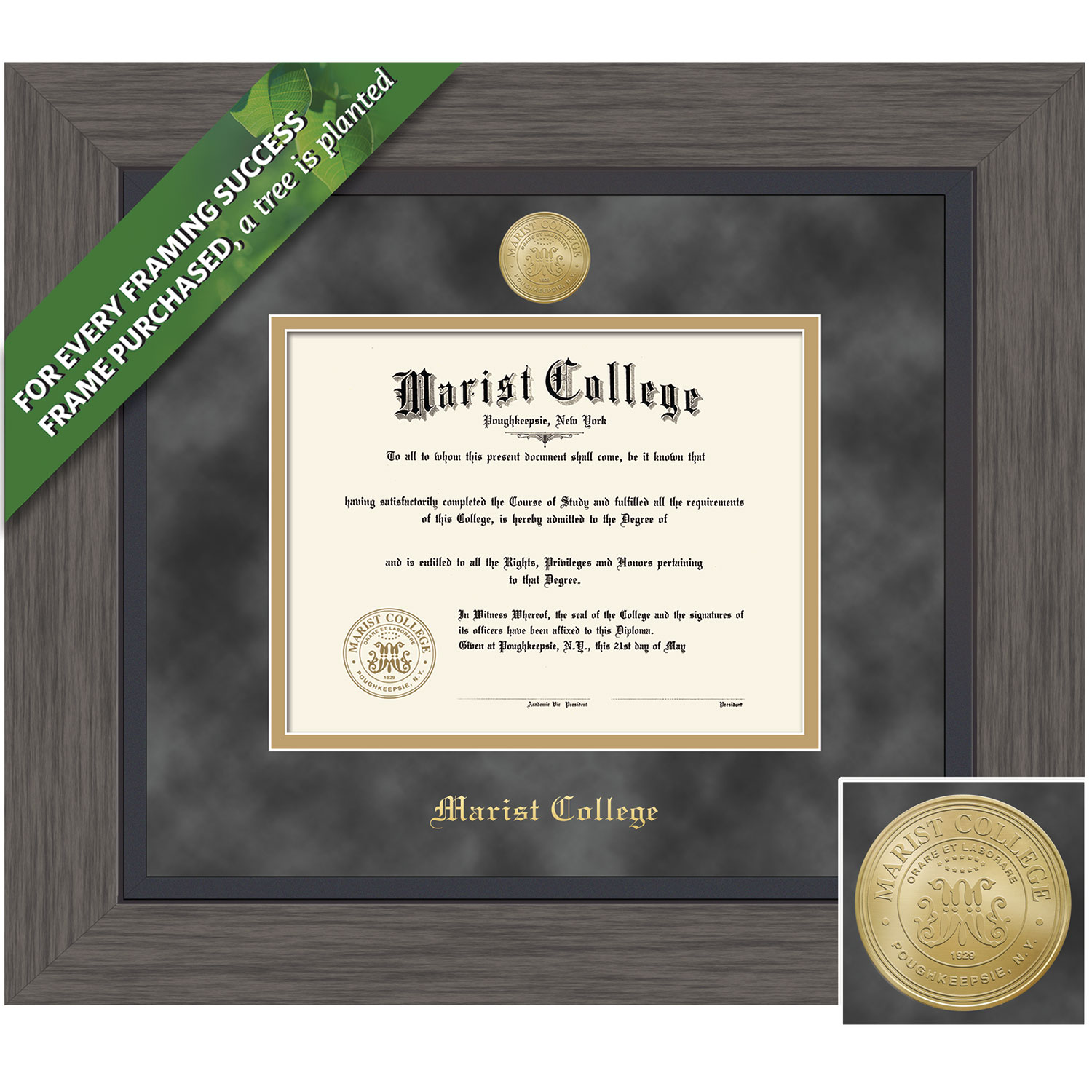 Framing Success 8.5 x 11  Greystone Gold Medallion Masters Diploma Frame