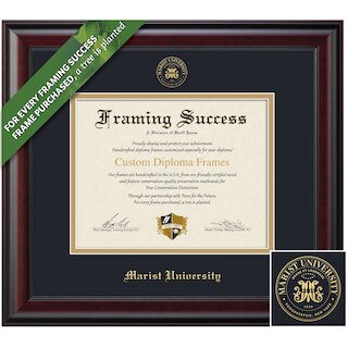 Framing Success 8 x 10 Classic Gold Embossed School Seal Bachelors Diploma Frame