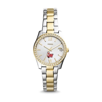 Marist College Fossil Watch (Online Only)