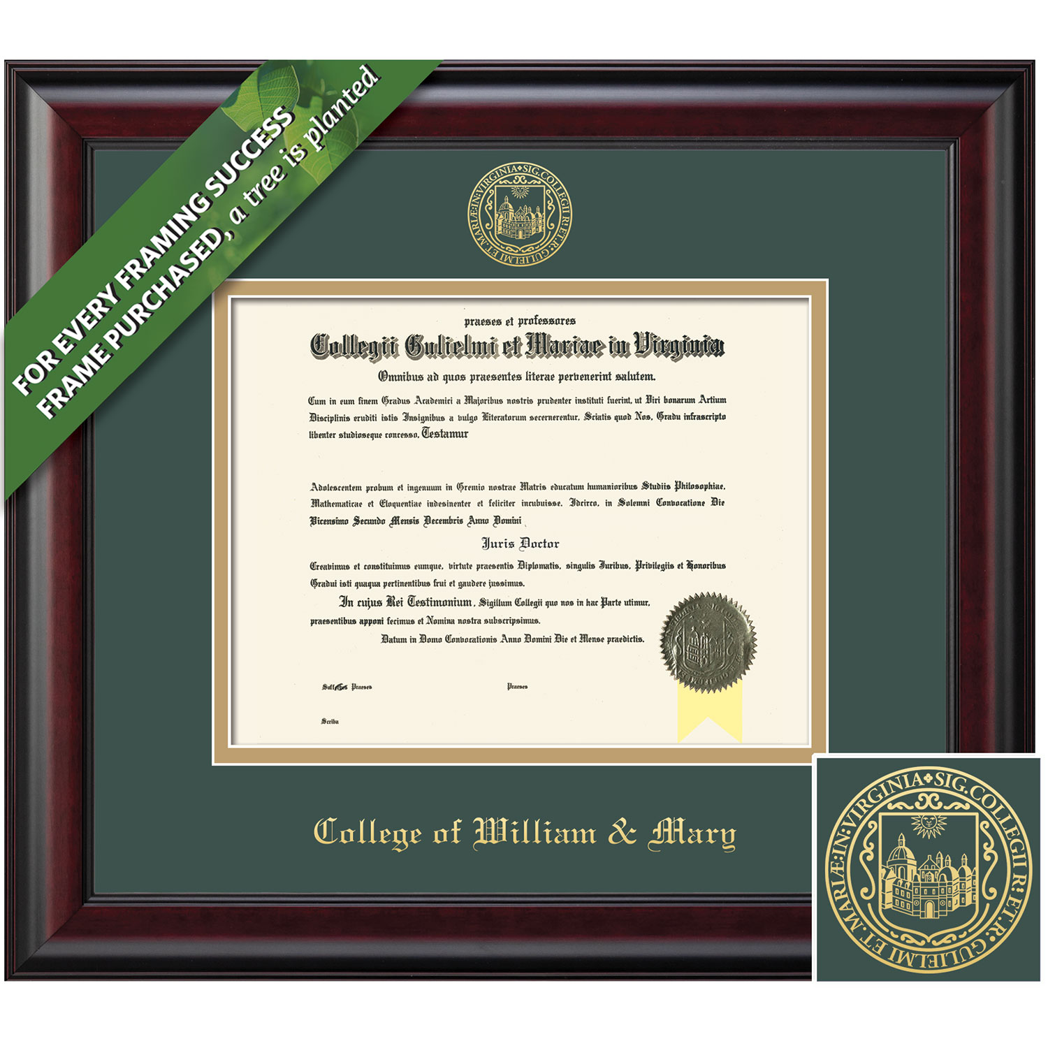 Framing Success 10 x 13 Classic Gold Embossed School Seal Bachelors, Masters, Doctorate Diploma Frame