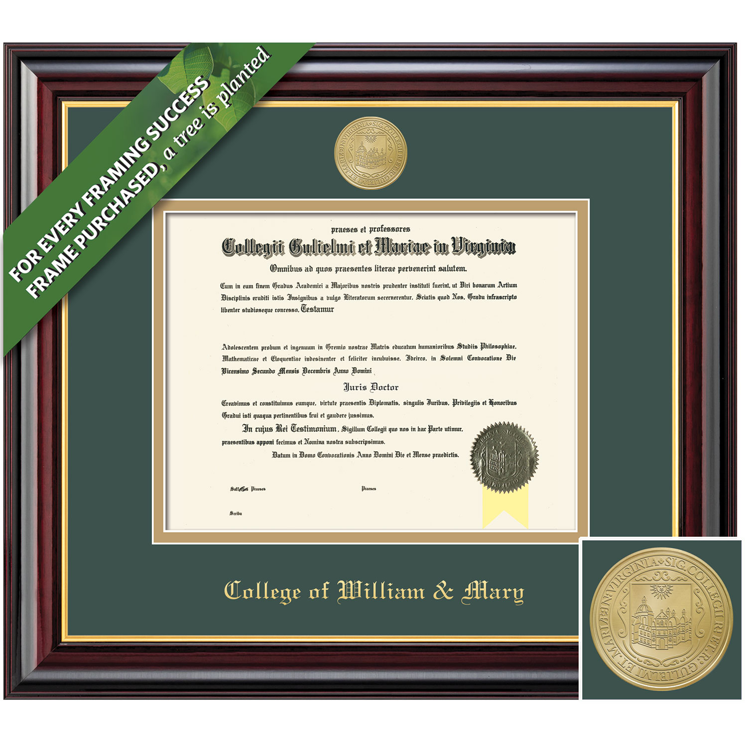 Framing Success 10 x 13 Windsor Gold Medallion Bachelors, Masters Diploma Frame