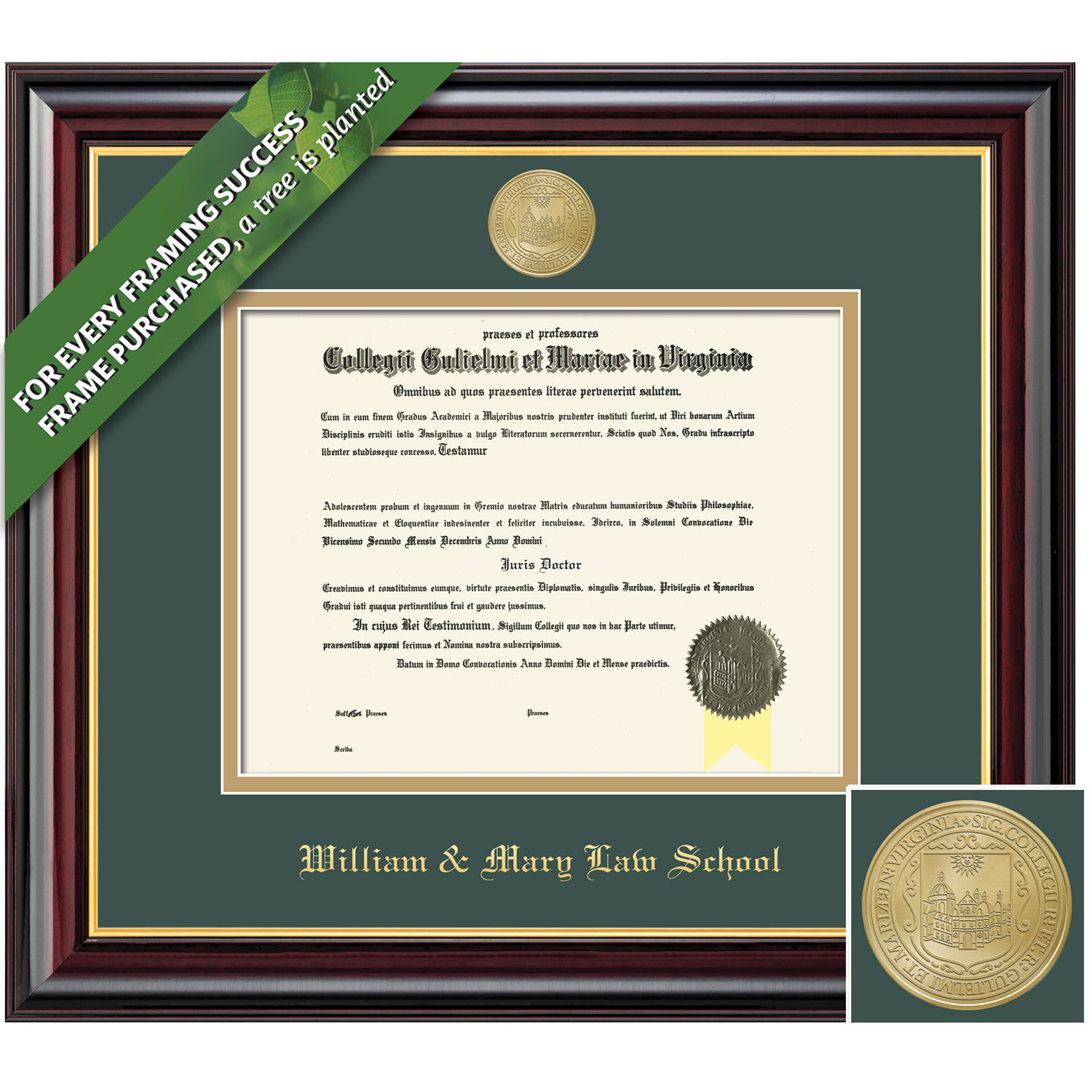 Framing Success 10 x 13 Windsor Gold Medallion Law Diploma Frame