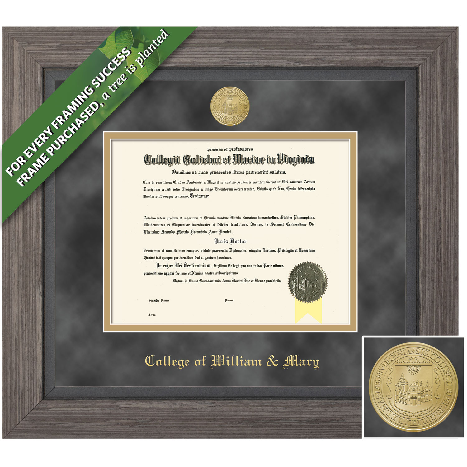 Framing Success 10 x 13 Greystone Gold Medallion Bachelors, Masters Diploma Frame
