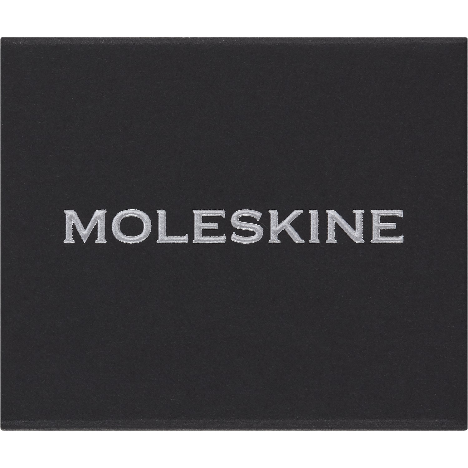 MOLESKINE PINS K SILVER