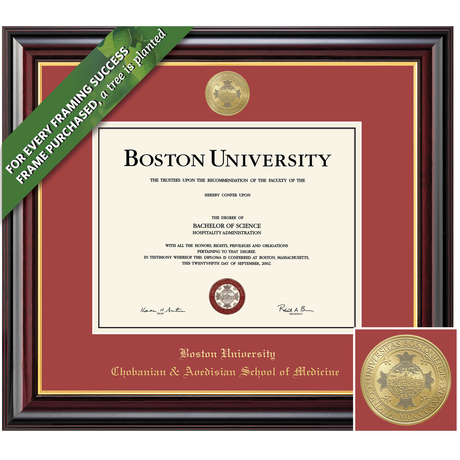 Framing Success 16 x 20 Windsor Gold Medallion Medical Diploma Frame